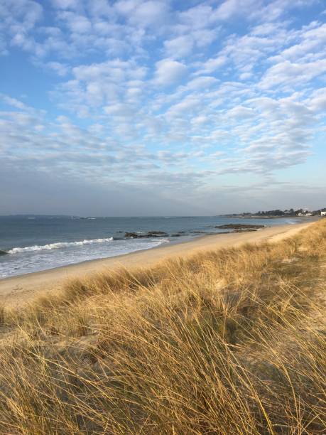 istock A beach in the nature, in Brittany 1470565698