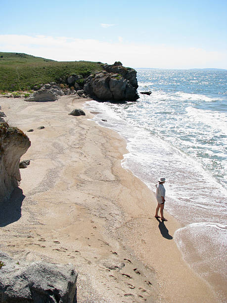 Women on the coast. stock photo