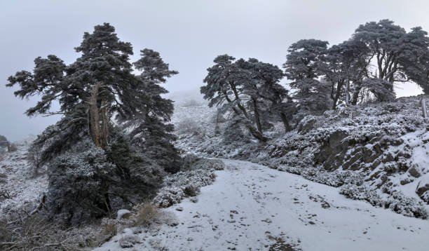 istock Sierra de las Nieves 1470566187