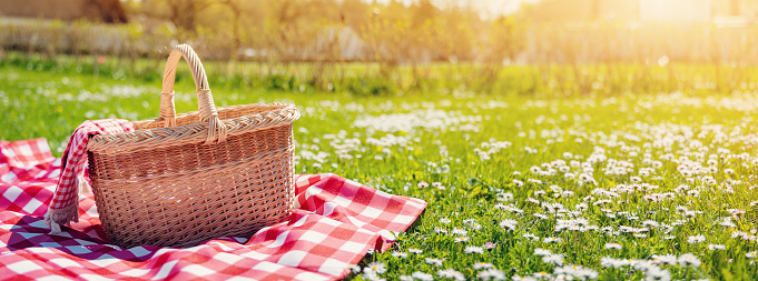 Checkered picnic duvet with empty basket on the blossoming meadow. Concept of leisure and family weekend.