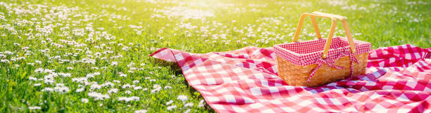 istock Picnic duvet with empty basket on the meadow in nature. 1470566747