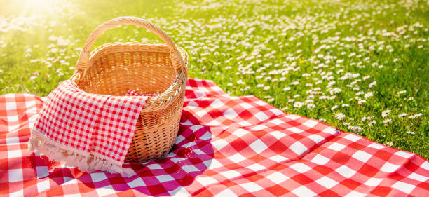 istock Picnic duvet with empty basket on the meadow in nature. 1470566834