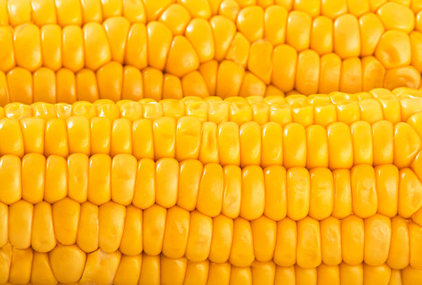 Close up of yellow maize background stock photo