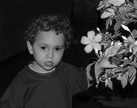 Photograph of a boy looking up towards the camera. It is possible to notice plants and roses around it. The photo was taken in the backyard of an old house far from the central city.