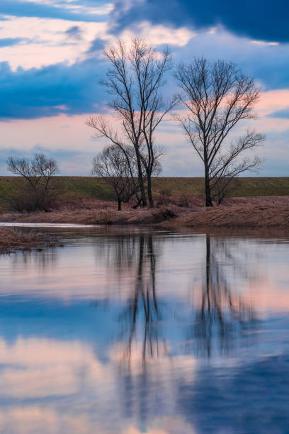istock reflection of trees in water during golden hour 1470570856