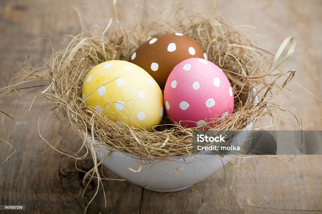 Easter eggs Animal Egg Stock Photo