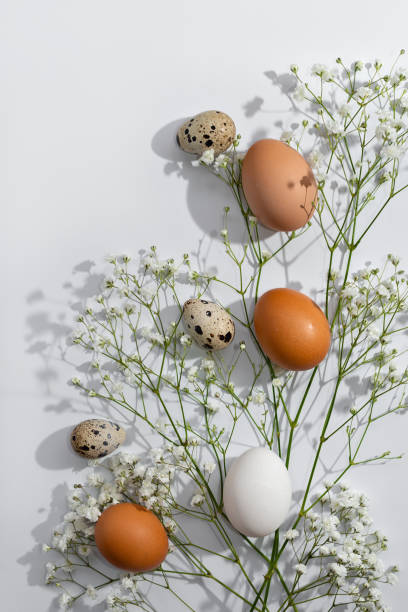 istock Elegant Easter greeting card design, natural color eggs and flowers on neutral light background, copy space 1470573161