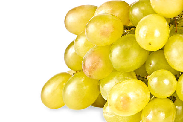 istock The branch of grapes 147057383