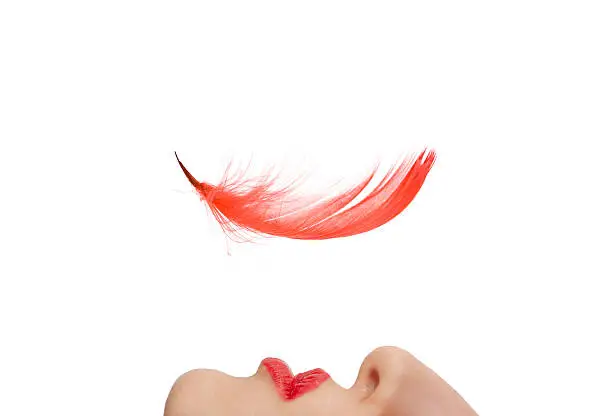 Photo of Red feather