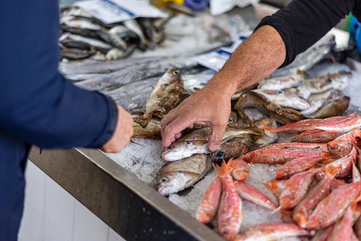 Fish for sale on a French market stall