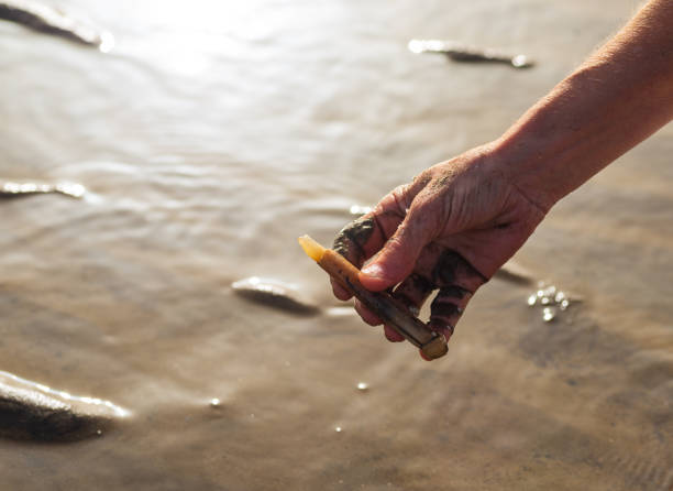 The Clamming Technique: A Woman on the Beach