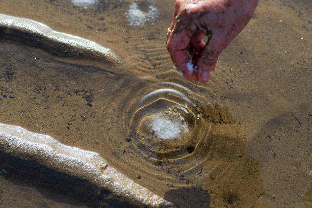 istock Clamming on the Coast: The Salt Technique 1470579389
