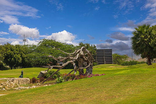 View of design with dried old tree trunk on golf course with green grass in background. Aruba.