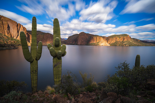 Two saguaro cacti punctuate a peaceful view of the calm water of Canyon Lake on The Apache Trail in Tonto National Forest in Arizona
