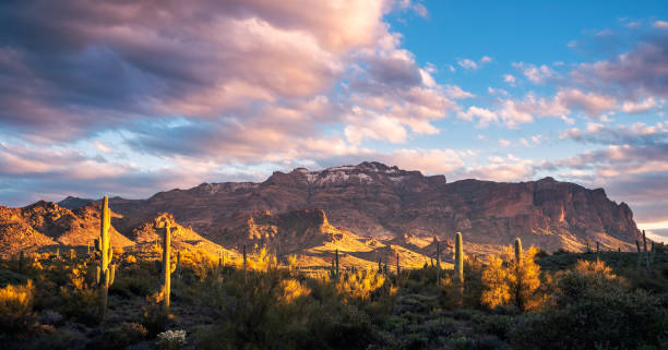 istock Beautiful sunset on The Superstition Mountains with illuminated saguaro cacti in foreground 1470581597