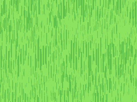 Spring green grass abstract texture modern background.