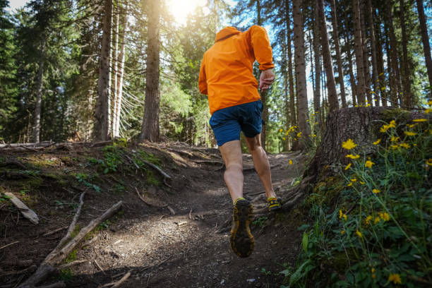 istock Man trail running in a mountain forest 1470587143
