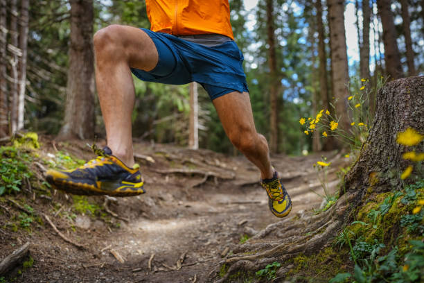 istock Man trail running in a mountain forest 1470587144