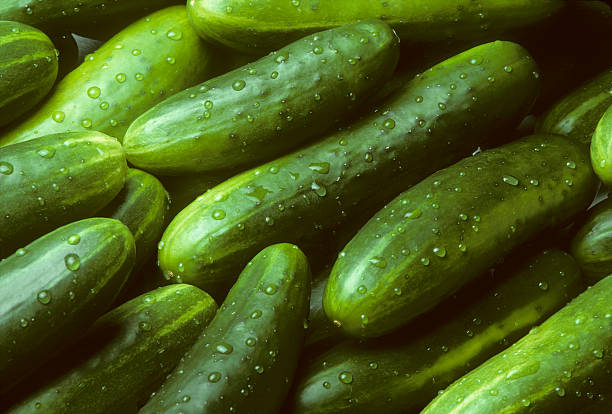 Pile of fresh cucumbers lying diagonally
