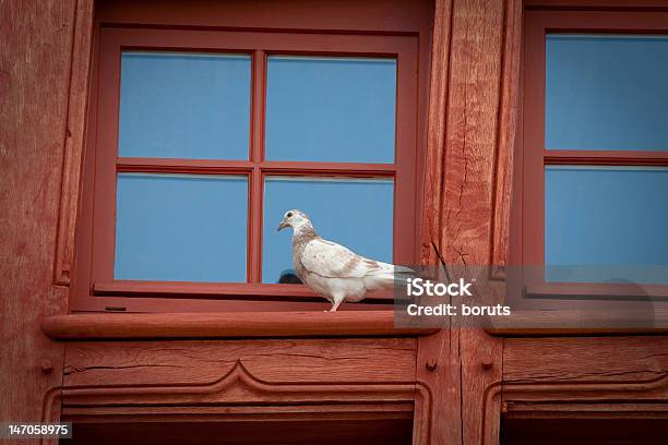 Gołąb W Oknie - zdjęcia stockowe i więcej obrazów Bez ludzi - Bez ludzi, Biały, Chrześcijaństwo