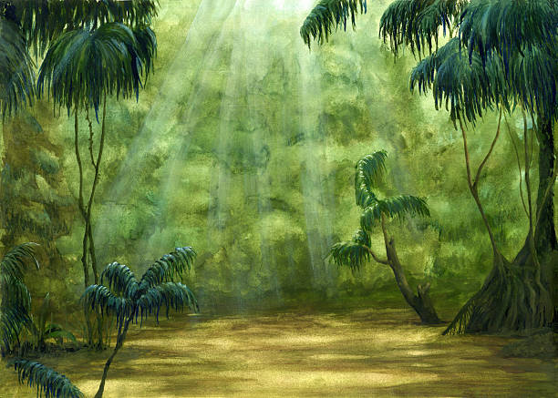 Jungle Jungle drawn by hand jungle landscape stock illustrations