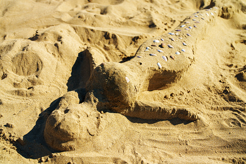 Mermaid made of sand and shells on the beach.