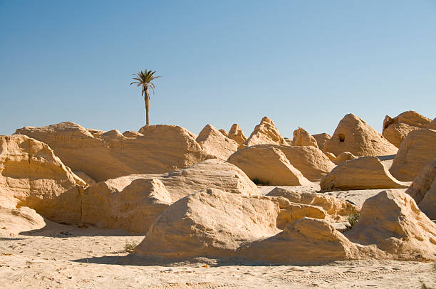 Petrified dunes Petrified dunes in Tunisia, near Douz tunisia sahara douz stock pictures, royalty-free photos & images