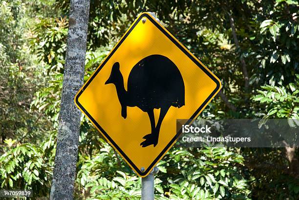 Znak Drogowy Do Kazuar Daintree Np Australia - zdjęcia stockowe i więcej obrazów Kazuar - Kazuar, Australia, Bez ludzi