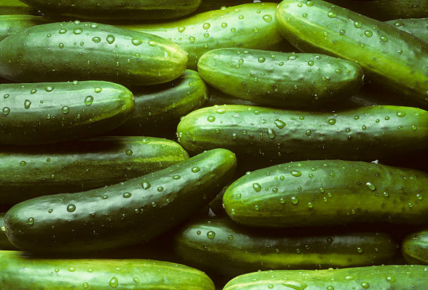 istock Pile of fresh cucumbers 147059953