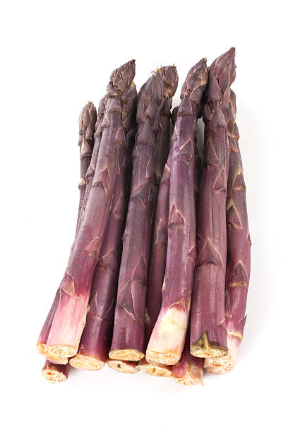 Purple Asparagus Spears stock photo