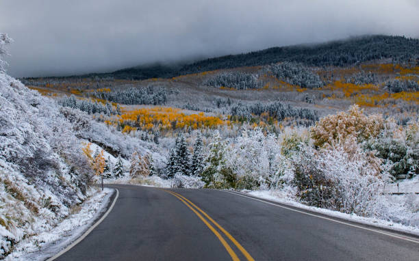 istock Snow on Autumn Aspen Trees 1470600462