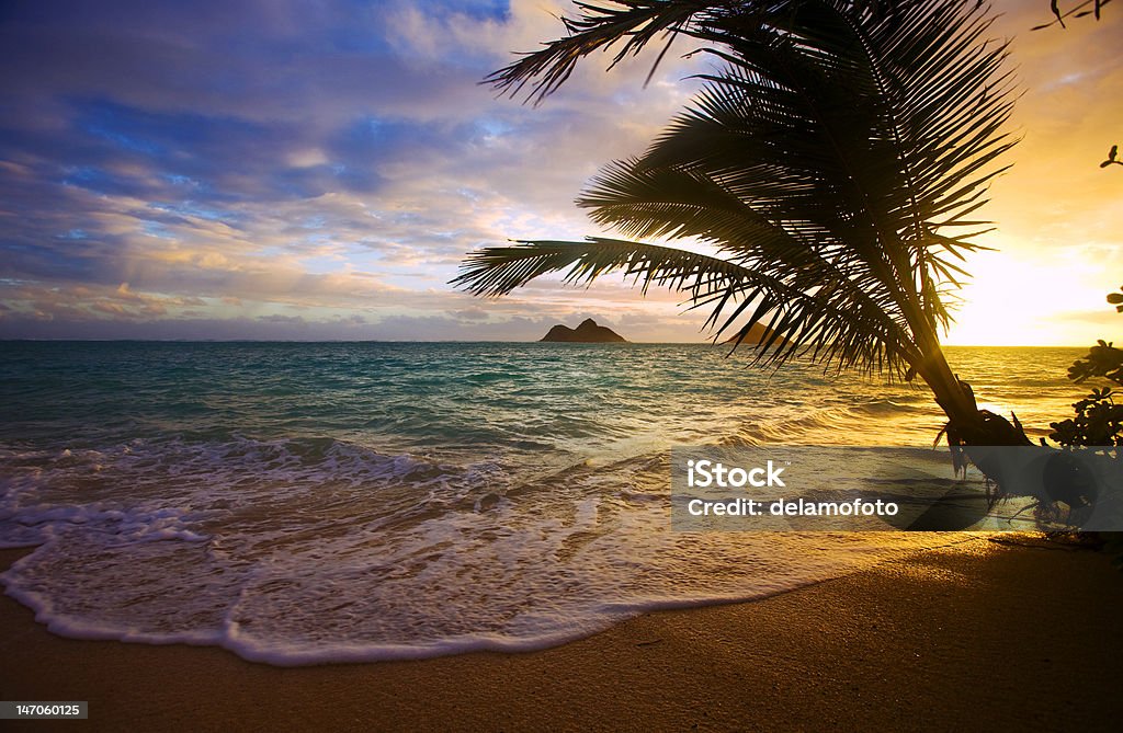 太平洋の日の出ラニカイビーチハワイで - 日の出のロイヤリティフリーストックフォト