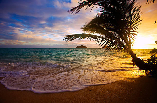 istock Pacific sunrise at Lanikai beach in Hawaii 147060125