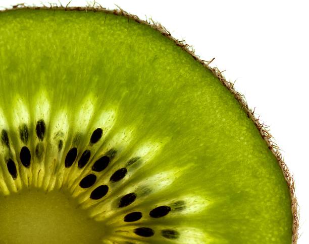 kiwi stock photo