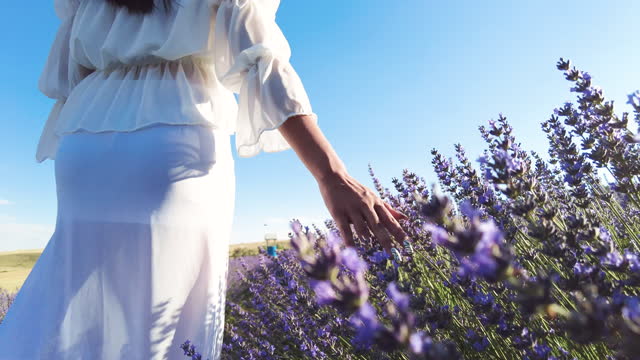 woman walking in lavender garden