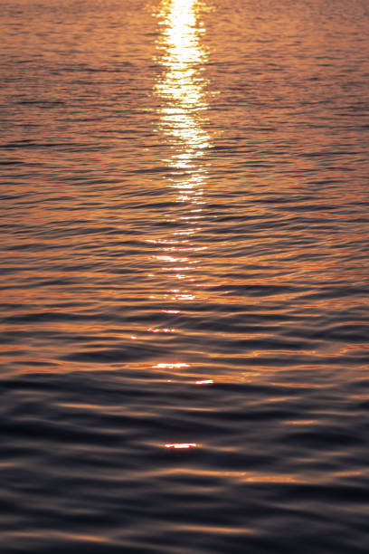 istock Rippling surface of sea in sundown 1470609338