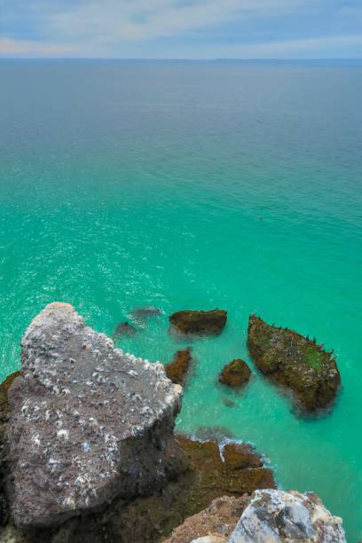 la punta della penisola - majestic landscape arid climate beach foto e immagini stock