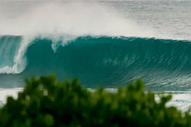 Beautiful open wave at Pipeline Oahu Hawaii