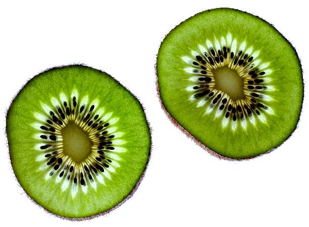 kiwi stock photo