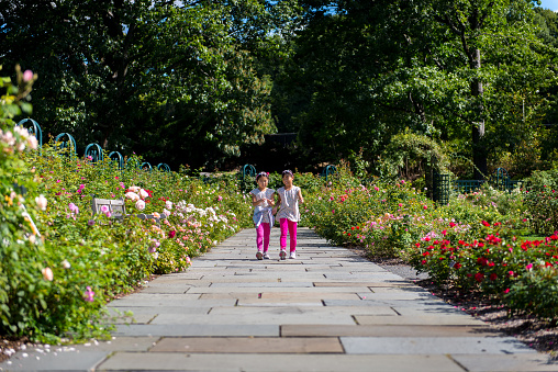Two young asian girls walking in middle of rose garden
