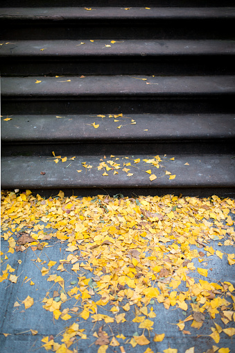 Autumn leaves in front of house steps