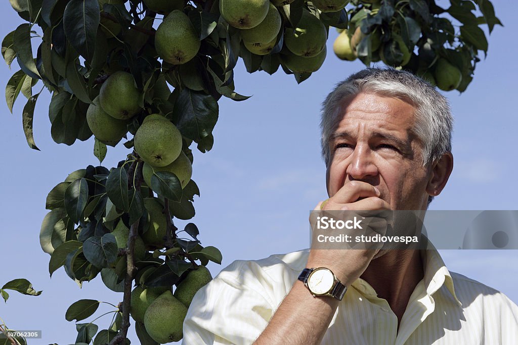 Alter Mann Essen pears im orchard - Lizenzfrei 45-49 Jahre Stock-Foto