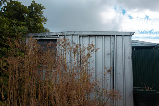 Grey metal toolshed outdoors, behind overgrown bushes