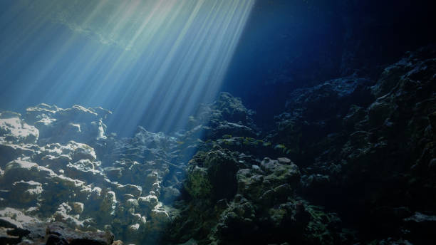istock Cathedral of light underwater 1470624972
