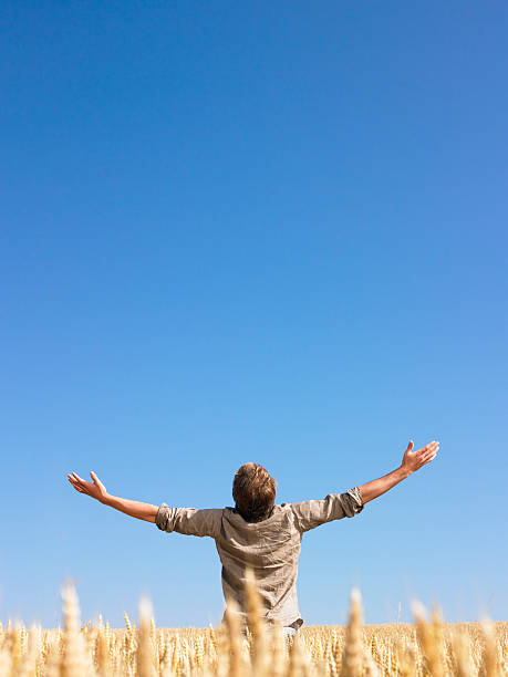 istock Man in Wheat Field With Arms Outstretched 147062538
