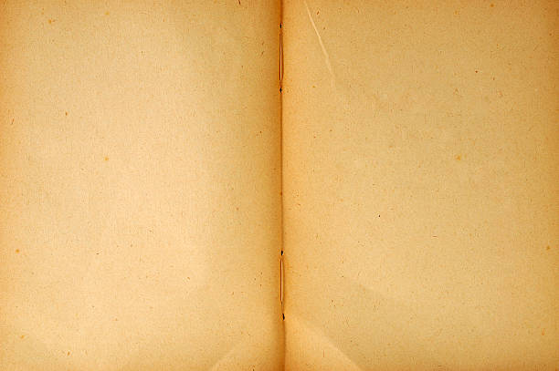 istock Double page of an old clean book 147062625