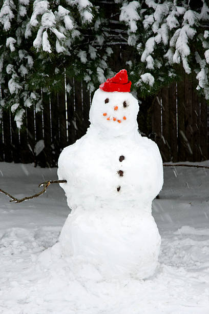 istock Snowman with Red Hat During Snow Storm 147062741