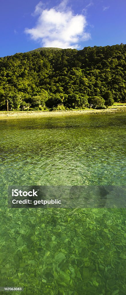 Paradise Green Bay and clear water Queen Charlotte Track in New Zealand is one of the most famous tourist attractions, located in the Marlborough Sounds on the south Island. Bay of Water Stock Photo