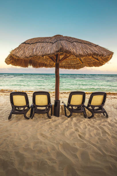 istock Palapa/Straw umbrella and chairs on the Beach 1470630892