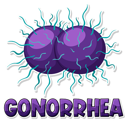 Neisseria gonorrhoeae on white background illustration